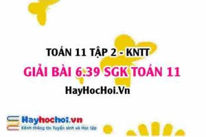 Bài 6.39 SGK Toán 11 Tập 2 Kết nối tri thức